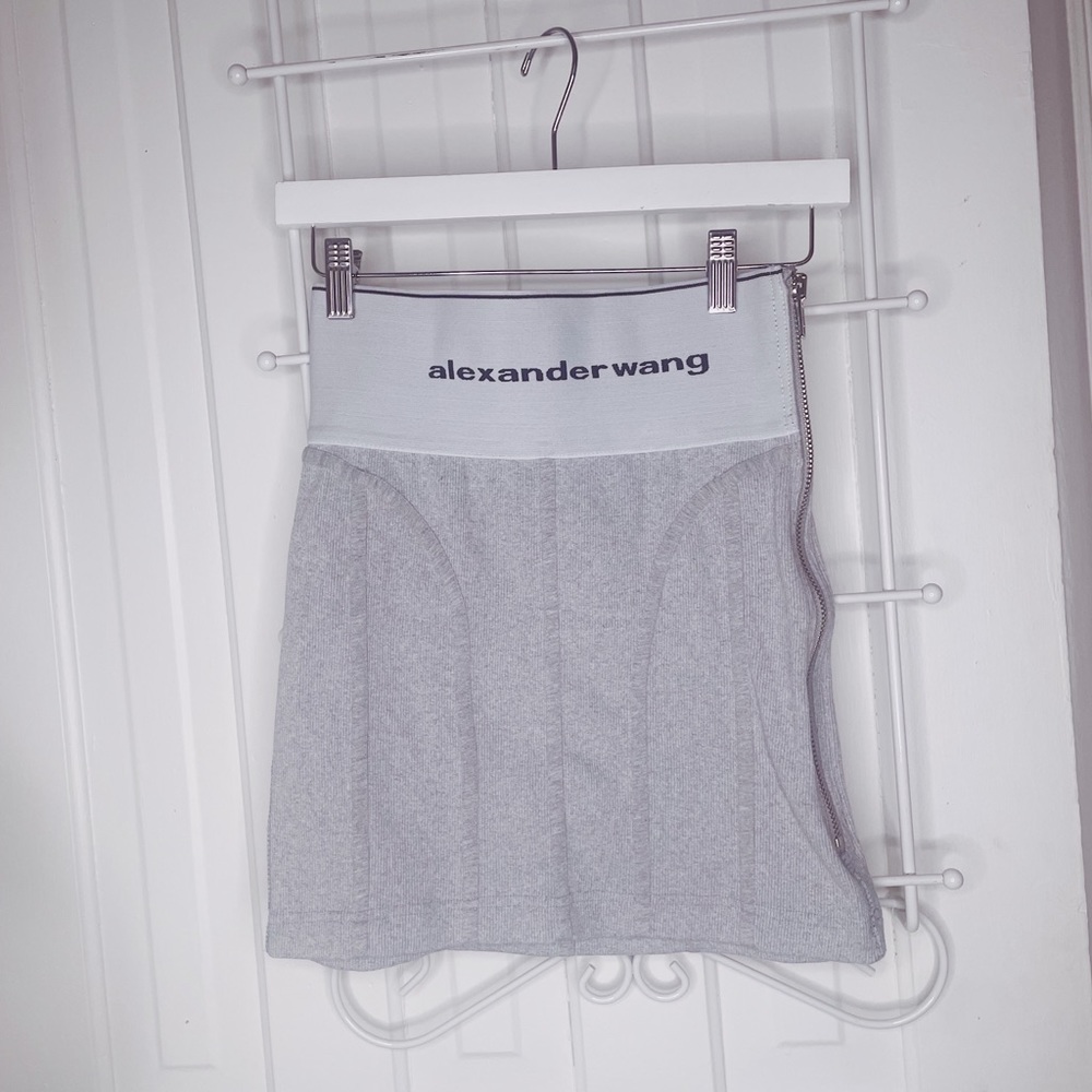 Alexander Wang skirt